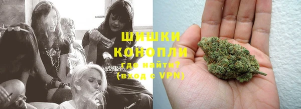 ГАЛЛЮЦИНОГЕННЫЕ ГРИБЫ Горно-Алтайск