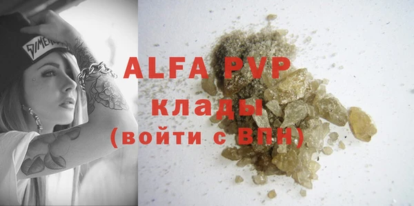 ГАЛЛЮЦИНОГЕННЫЕ ГРИБЫ Горно-Алтайск