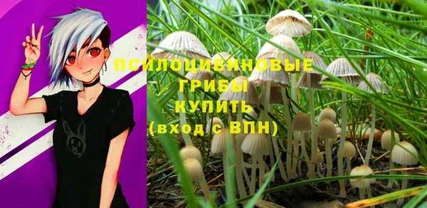 ешки Горнозаводск