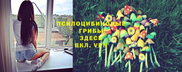 ГАЛЛЮЦИНОГЕННЫЕ ГРИБЫ Горно-Алтайск