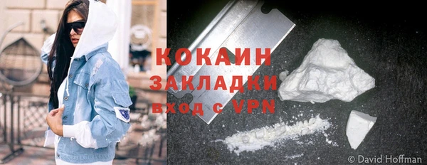 ГАЛЛЮЦИНОГЕННЫЕ ГРИБЫ Горно-Алтайск